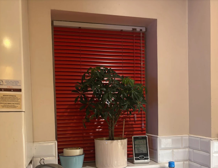 celso google blinds review